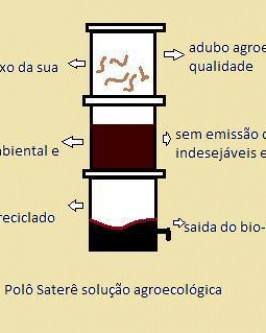 Minhocas para compostagem