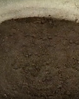 Composto Orgânico c/húmus de minhoca 20 litros
