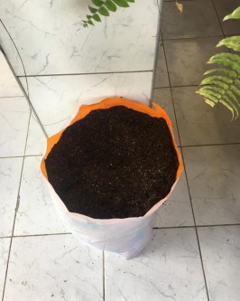 Terra Vegetal 60L - Foto 1