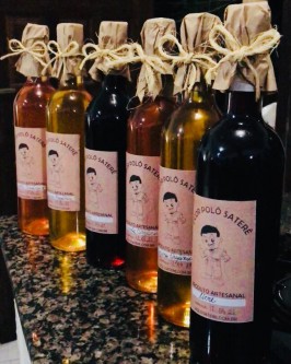 Licor Orgânico de Acerola 750ml - Foto 2