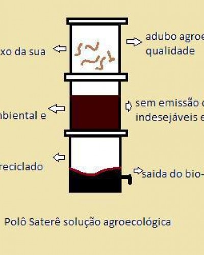 Detalhes do produto Minhocas para compostagem